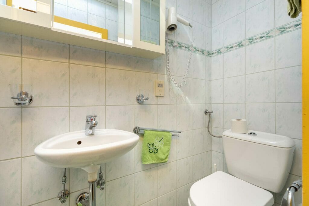 WC und Waschbecken des Appartement 2a in Flachau Winkl