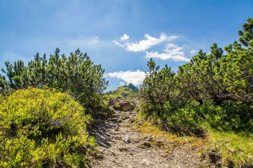 Wanderweg Auf Berg In Flachau